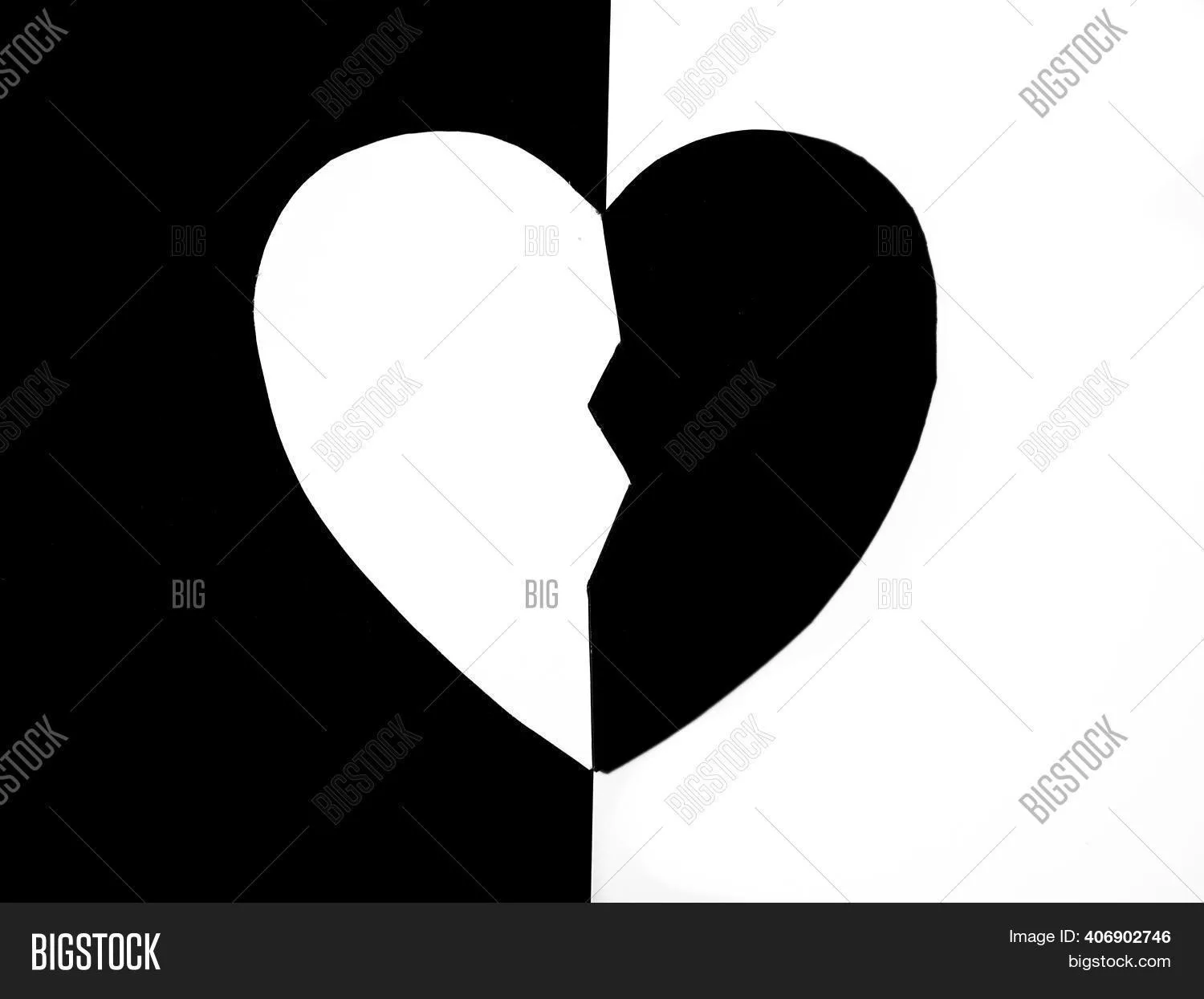 Half Black Half White Image & Photo (Free Trial) | Bigstock